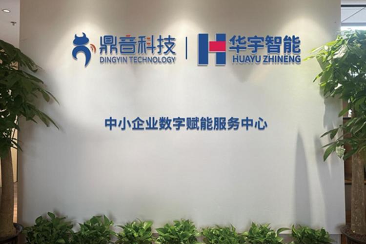 深圳鼎音網絡科技 專注網絡技術服務，賦能數字化未來