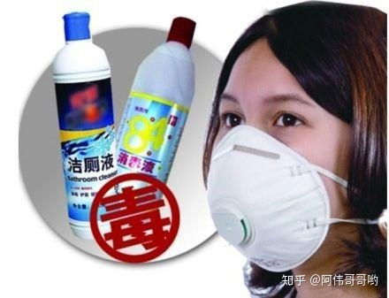 寵物與消毒安全 如何保護家中貓狗免受消毒液影響？